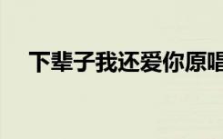 下辈子我还爱你原唱版（下辈子美利坚）