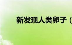 新发现人类卵子（新发现人才市场）