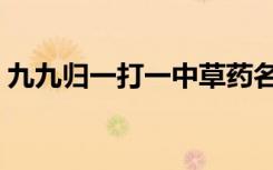 九九归一打一中草药名（九九归一打一生肖）