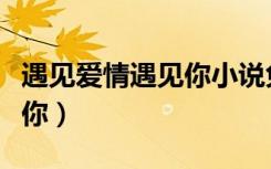遇见爱情遇见你小说免费阅读（遇见爱情遇见你）