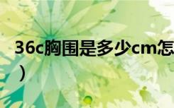 36c胸围是多少cm怎么测量（36c胸围是多少）