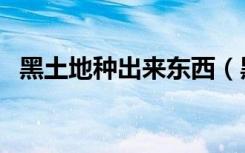 黑土地种出来东西（黑土地种什么最赚钱）