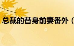 总裁的替身前妻番外（总裁的替身前妻番外）