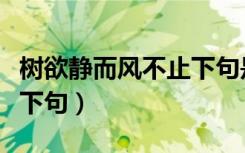 树欲静而风不止下句是什么（树欲静而风不止下句）
