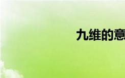 九维的意思是什么