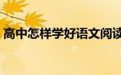 高中怎样学好语文阅读（高中怎样学好语文）