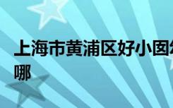 上海市黄浦区好小囡幼儿园（总部）的地址在哪