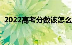 2022高考分数该怎么查（什么时候查成绩）