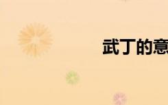 武丁的意思是什么