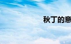秋丁的意思是什么