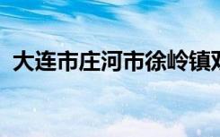 大连市庄河市徐岭镇双丰幼儿园的地址在哪