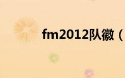 fm2012队徽（fm2012 大狙）