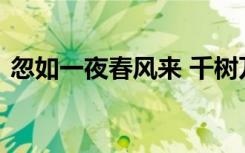忽如一夜春风来 千树万树梨花开是什么季节