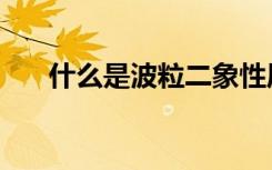 什么是波粒二象性原理（什么是波鞋）