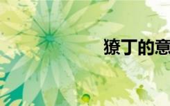 獠丁的意思是什么