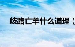 歧路亡羊什么道理（歧路亡羊什么意思）