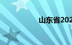 山东省2021高考赋分