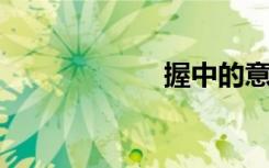 握中的意思是什么