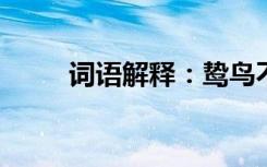 词语解释：鸷鸟不双的意思是什么