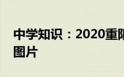 中学知识：2020重阳节手抄报简单易画字少图片