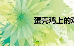 蛋壳鸡上的鸡蛋手工制作