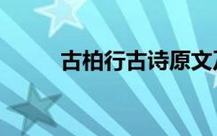 古柏行古诗原文及翻译（古柏行）