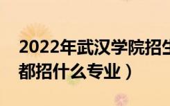 2022年武汉学院招生计划及招生人数（各省都招什么专业）