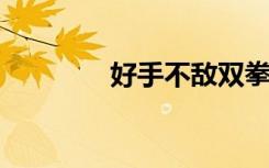 好手不敌双拳的意思是什么