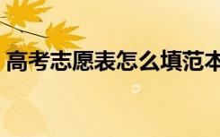 高考志愿表怎么填范本（高考志愿表怎么填）