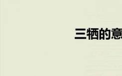 三牺的意思是什么