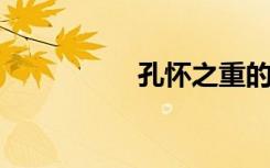 孔怀之重的意思是什么