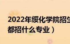 2022年绥化学院招生计划及招生人数（各省都招什么专业）