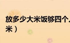 放多少大米饭够四个人吃（四个人米饭放多少米）