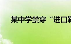 某中学禁穿“进口鞋”事件—模拟作文