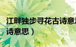 江畔独步寻花古诗意思解释（江畔独步寻花古诗意思）