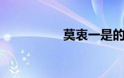 莫衷一是的意思是什么