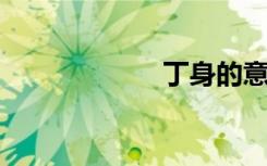 丁身的意思是什么