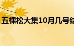 五棵松大集10月几号结束（五棵松大集地址）