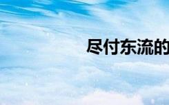 尽付东流的意思是什么