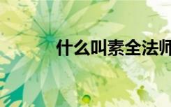 什么叫素全法师（什么叫素数）