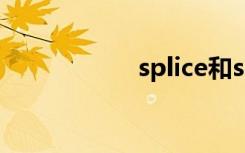 splice和slice的区别