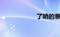 了哨的意思是什么