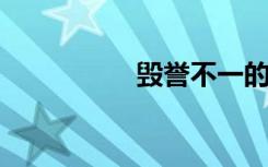 毁誉不一的意思是什么