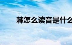 棘怎么读音是什么意思（棘怎么读）
