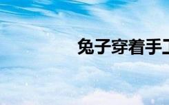 兔子穿着手工折纸的衣服