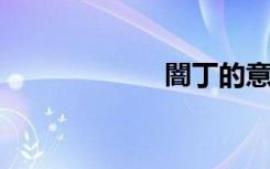 闇丁的意思是什么