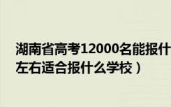 湖南省高考12000名能报什么学校（湖南高考位次120000左右适合报什么学校）