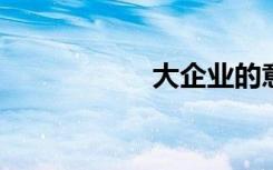 大企业的意思是什么