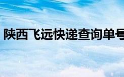 陕西飞远快递查询单号（陕西飞远快递查询）