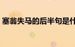 塞翁失马的后半句是什么（塞翁失马的寓意）